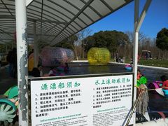 游乐设施-上海海湾国家森林公园