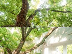 -湖北美术学院(昙华林校区)