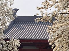 -大慈恩寺(大雁塔)
