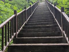 -天女山森林公园