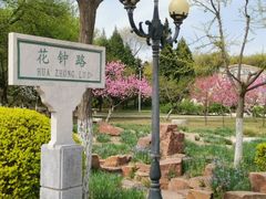 -石家庄市植物园