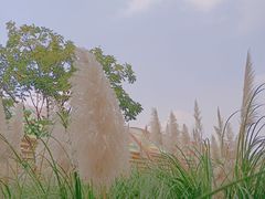 -中国天府农业博览园