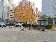 -局气 烤鸭·北京菜(光华路店)
