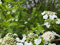 -南山风景名胜区