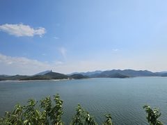 -望湖烤鱼