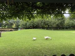 -硅谷蒙学幼儿园