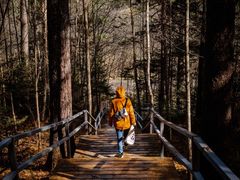 -五营红松林海景区