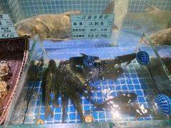 -一江春水·杭帮臻宴(三台山店)