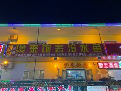 -煲来饱去冷水鱼