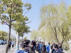 -上海市宝山区罗店医院