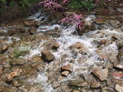 -湖洞水自然风景区