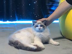 -零纪元VR体验馆·桌游(黄浦店)