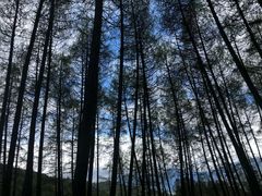 -硗碛藏寨·神木垒景区