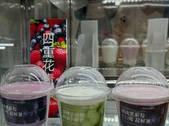 -白色日记·手作酸奶(麦凯乐店)