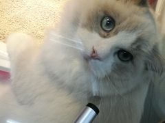 -乐宠宠物店(世纪金源店)