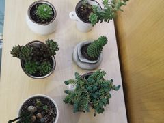 -联合口腔(西环诊所)