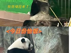 -广州动物园