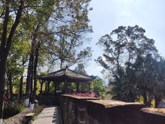 -桂湖森林公园