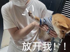 -猫色咖啡·猫咖
