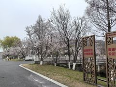 -羊山湖公园