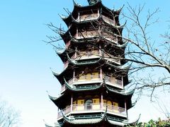 -红梅公园