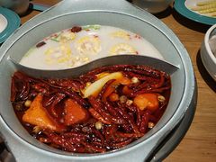 -青瓷火锅料理(西单大悦城店)