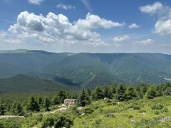 -芦芽山旅游度假区