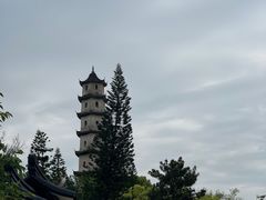 -江心屿景区