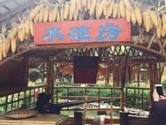 -云南民族村