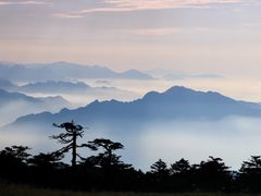 -秦岭风景区
