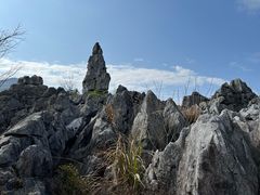 -千岛湖石林