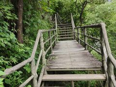-东天目山风景区