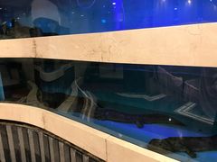 景观位-凤凰楼酒家·粤宴点心(华强北店)