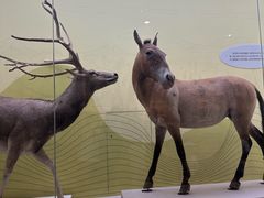 -国家自然博物馆