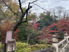 -有栖山 清光院 清水寺