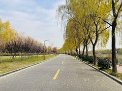 -洨河生态公园
