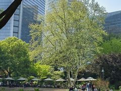 -静安公园(静安寺街道)