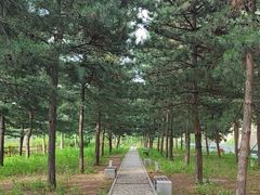 -云蒙山风景区