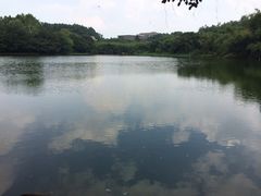 iphone_upload_pic-南国桃园旅游度假区