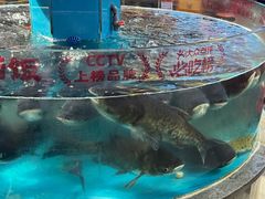 -魏铭鱼头捞饭(晋阳路店)