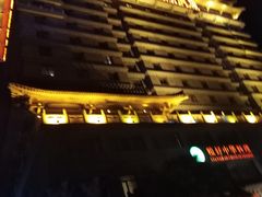 -维也纳国际酒店·西安大雁塔大唐不夜城店