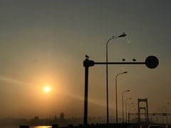 -星海湾跨海大桥