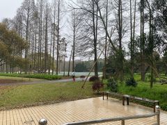 -上海滨江森林公园