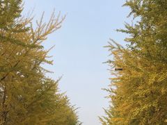 -辽宁大学(崇山校区)