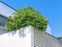 -东梓关景区村庄