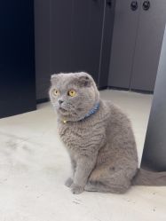 -蚂蚁造型俱乐部