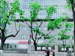 -北京协和医院(东单院区)