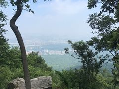 -紫金山索道-售票处