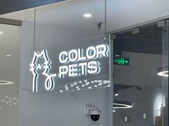 -COLOR PETS 撸猫馆·购猫·猫咖(长风大悦城店)
