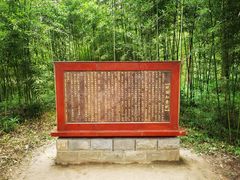 -黄海国家森林公园